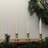White and Gold LED C5 Flickering Window Christmas Candle Lamp with Timer 8.5"