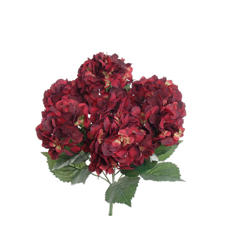 Hydrangea Bush, Burgundy