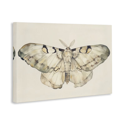 «Dusty Beige Moth», art mural sur toile par Petal Prints Design