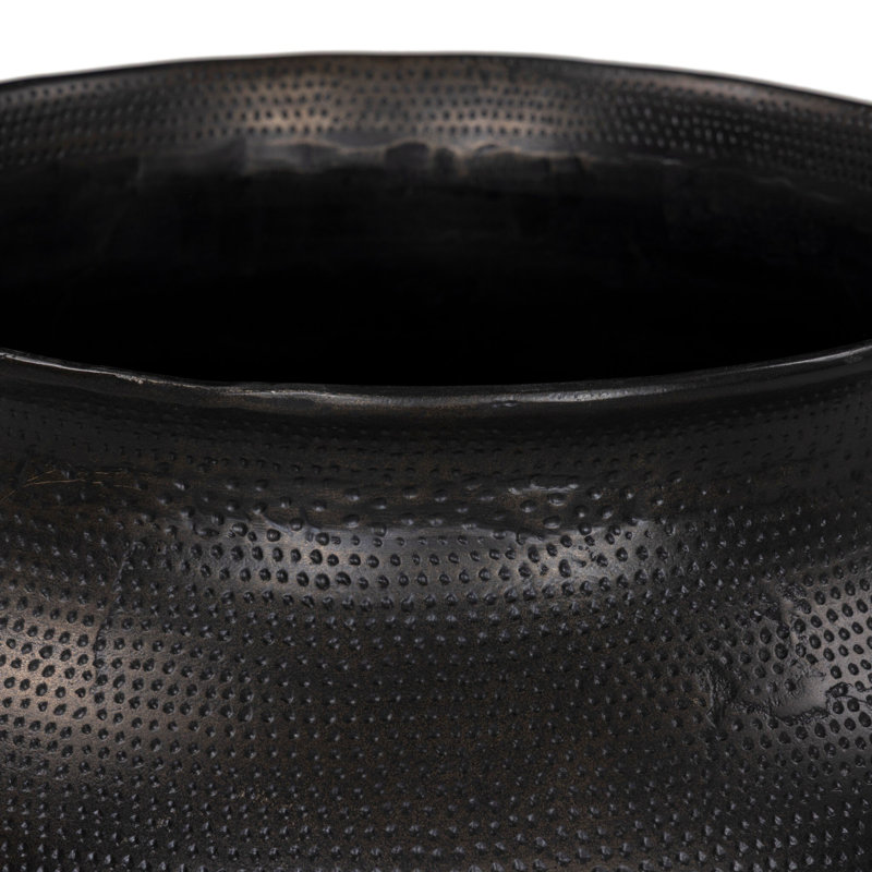 Kavya Planter, Media