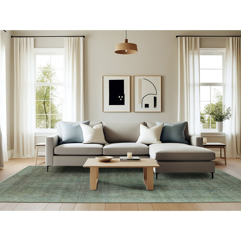 Oriental Indoor Rug, Rectangle 6' x 9'