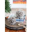 Iced Twig Ball  Set of 12  5"Dia.  Brown