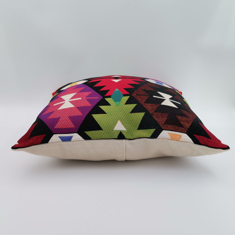 Eliud Indoor / Outdoor Geometric Square Throw Pillow Cover
