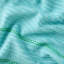 SPRING GARDEN Dish Cloth