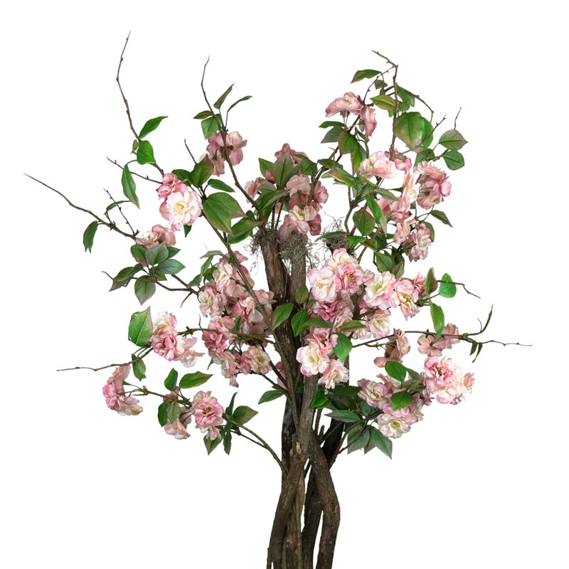 Cherry Blossom Tree in a Rope Pot
