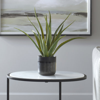 Kemel 19'' Aloe Plant in Ceramic Pot