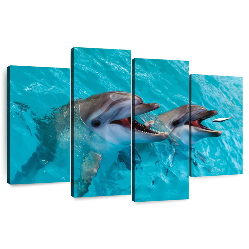 Brampt Cute Dolphins, 42'' H x 68'' W