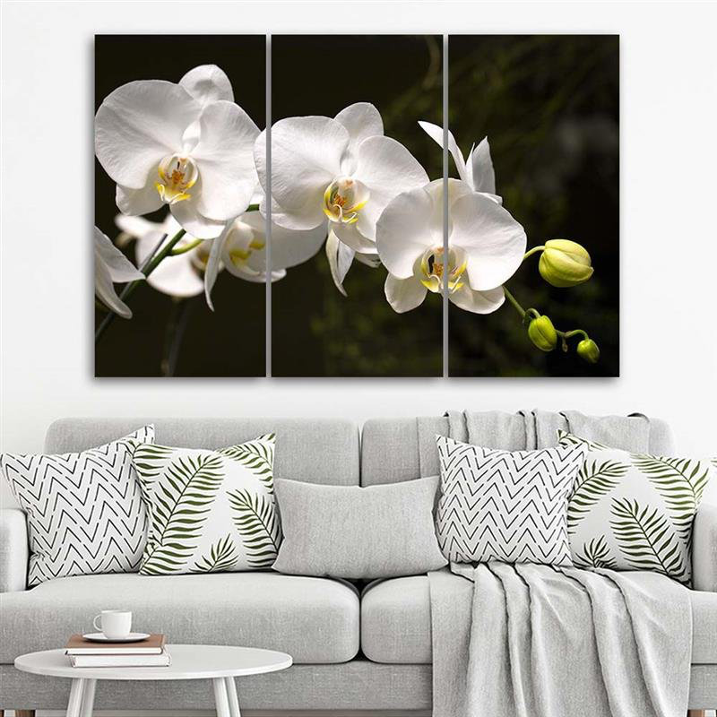 White Orchid Flower - 3 Piece Wrapped Canvas Print Set, 60cm H x 90cm W