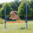 TRIXIE Dog Agility Hurdle, Portable Dog Agility Training, Adjustable Jumper, Exercise Tool