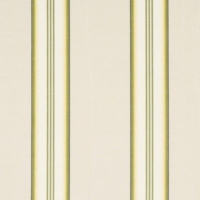 Randolph Stripe Moiré Fabric