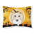 Creme Longhair Dachshund
