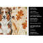 Serviette de cuisine Red Merle-2083472642