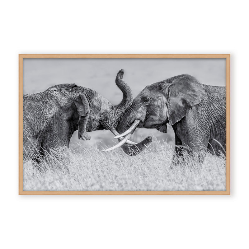 Nature Inspired Elephant Tai Chi by  - Picture Frame Photograph on Paper, 24" H x 36" W x 1.125" D, Black