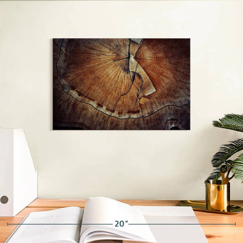 Tree Ring Texture, 8" H x 12" W