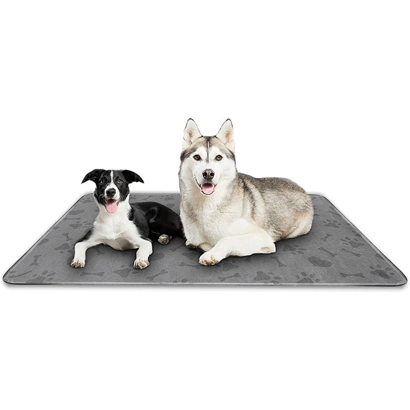 Couverture pour chien légère et imperméable Paw, 82 po x 68 po, Gris