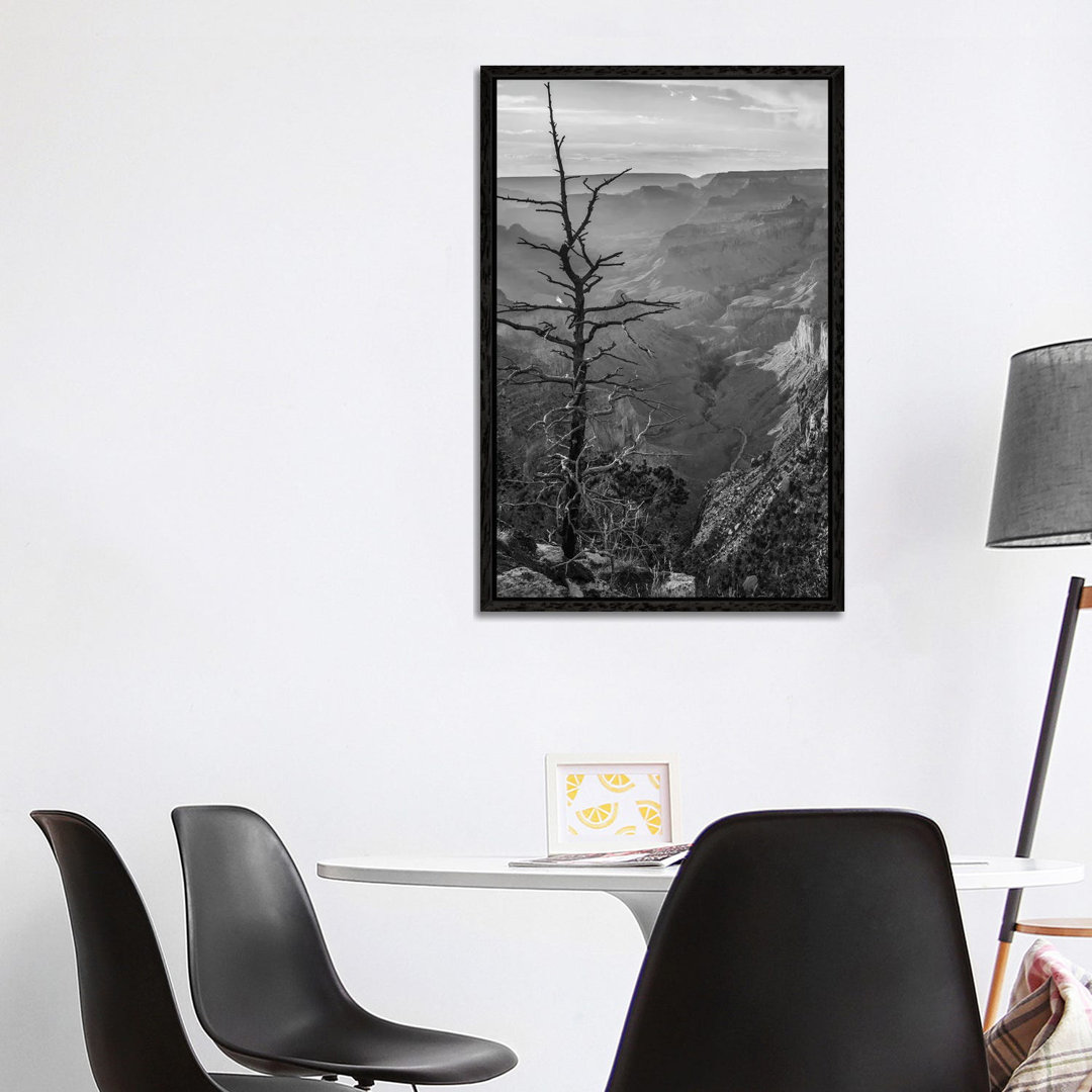 South Rim, Grand Canyon, Arizona von Tim Fitzharris - Gallery-Wrapped Canvas Giclée on Canvas