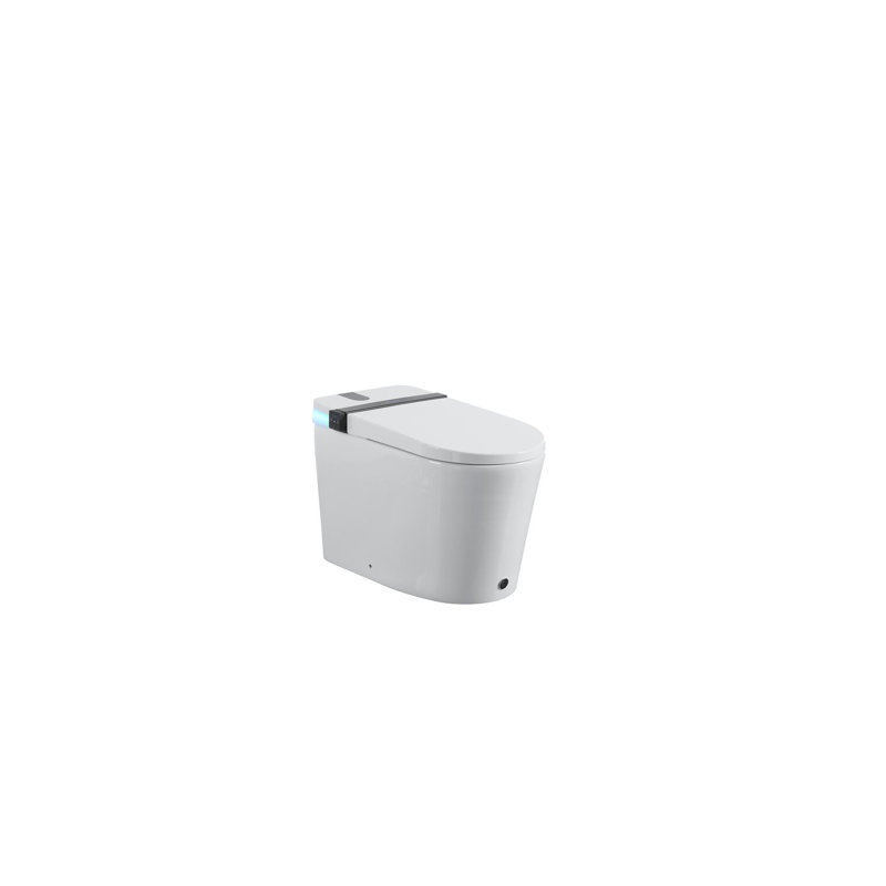 Smart Toilet