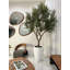 102 plantes