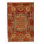 Oriental Area Rug in Brown