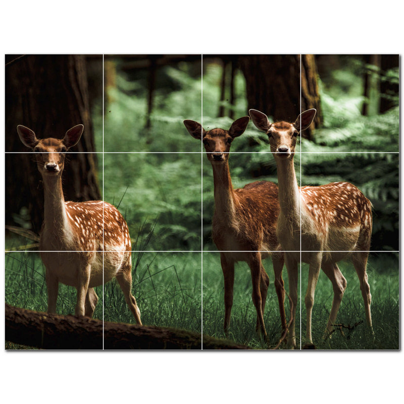 Murale décorative en céramique satinée 12 po x 12 po Deer Photo