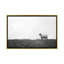 Photographie « islay ovin ii »-43719465-43719470