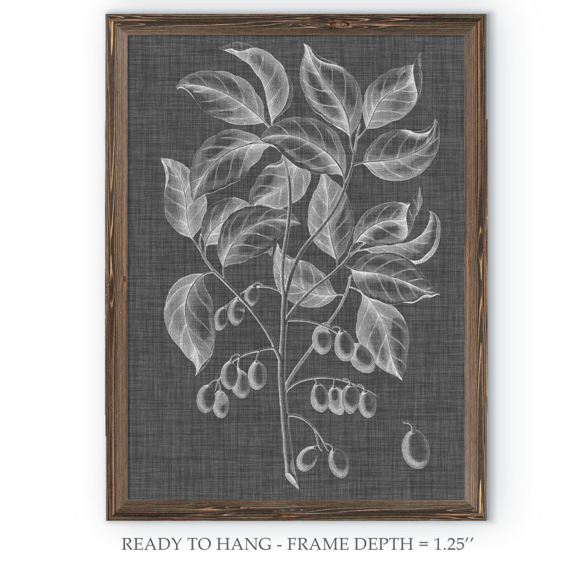 "feuillage graphique v" par paul cezanne-cadre photo, reproduction d’art, H 24 po x l 18 po x P 1,25 po