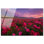 «Sea of Roses II», impression murale coucher de soleil à imprimé acrylique par Notoriart, prêt à accrocher, 30 x 20