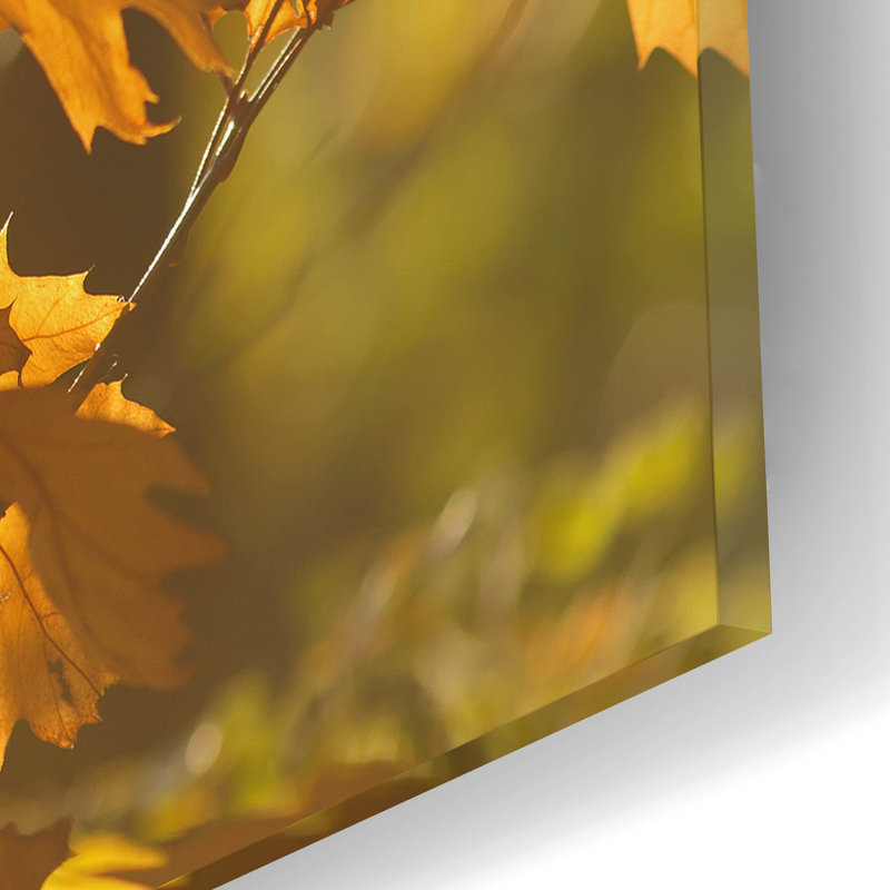 «Autumn Light» par Roeselien Raimond, H 12 po x l 16 po x P 0,13 po