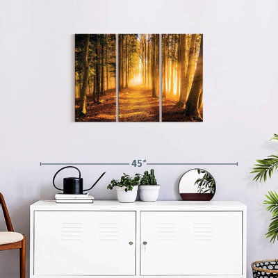 «Morning Forest Path», reproduction sur toile