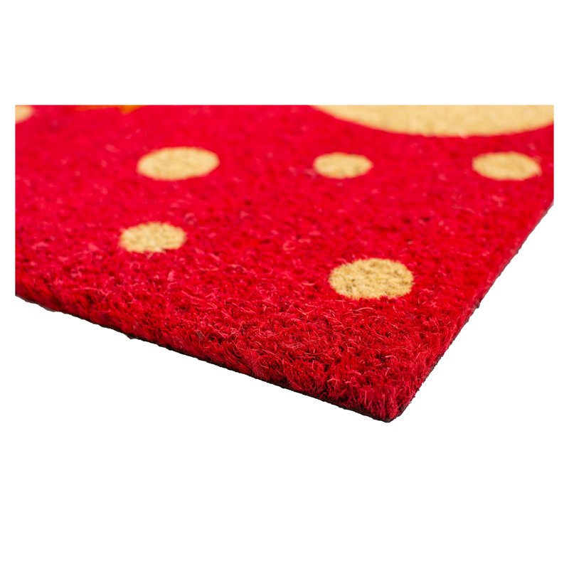 Tapis d'entrée antidérapant Brantwood, L 17 po x L 29 po