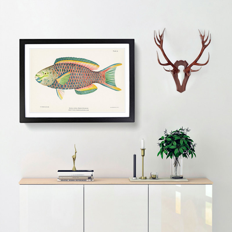 Tropical Fish by Henry Baldwin - Framed Print, 36cm H x 48cm W x 2cm D, Black Framed