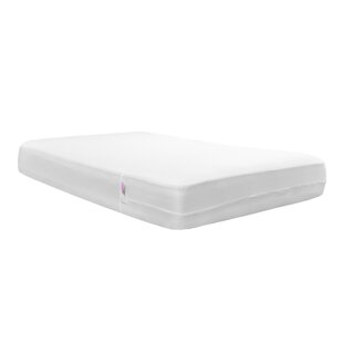 https://assets.wfcdn.com/im/16695503/resize-h310-w310%5Ecompr-r85/1780/178034579/bed-bug-resistant-zippered-mattress-protector-case-pack.jpg
