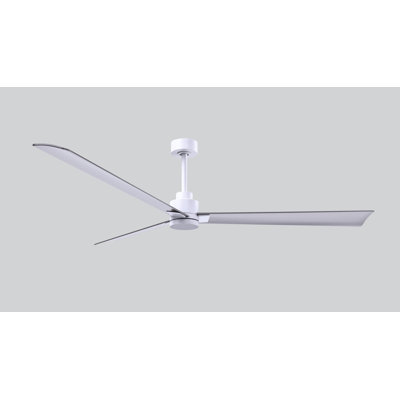 Alessandra Outdoor Downrod Ceiling Fan