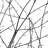 18'' Branch