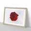 Red Rose in Bloom - Framed Print-56758707-56758708