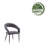Sina 17.91'' H Velvet Upholstered Armchair-315901655