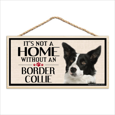 «It's Not a Home less Our Border Collie»