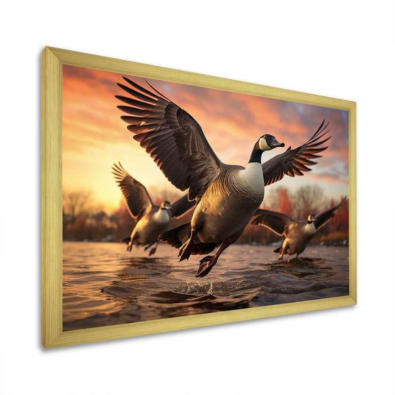 Canada Bernaches du Canada II - reproduction sur toile, Cadre doré à une seule photo, H 16 po x l 32 po x P 1 po