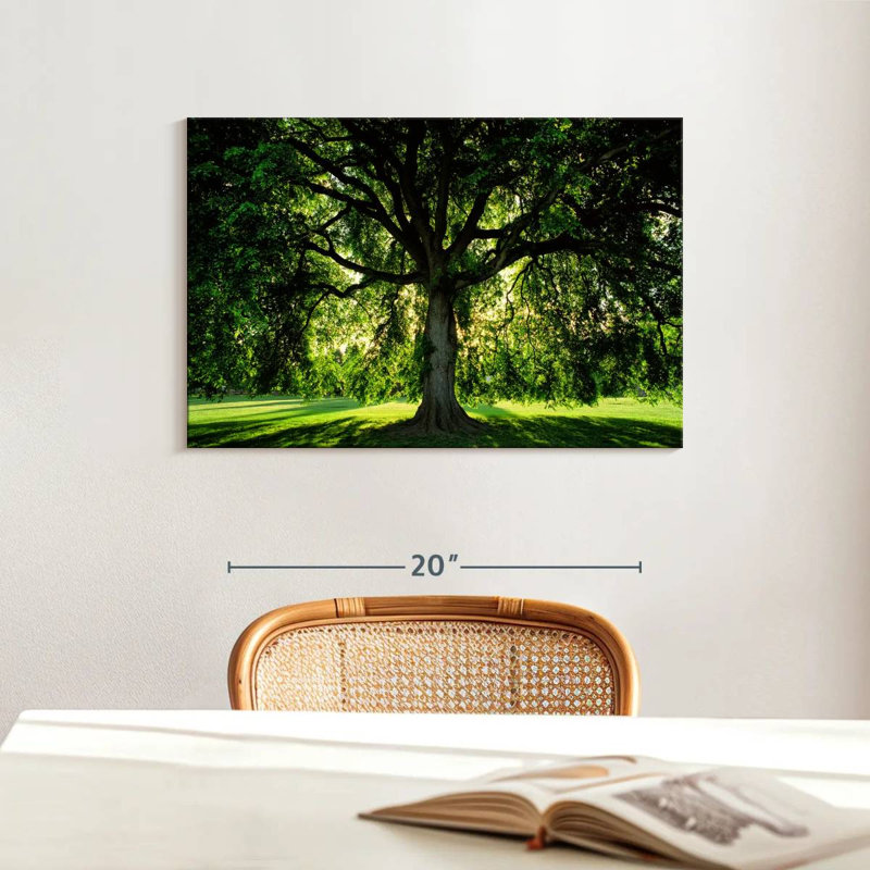 Arbre Harnek, H 16 po x l 24 po
