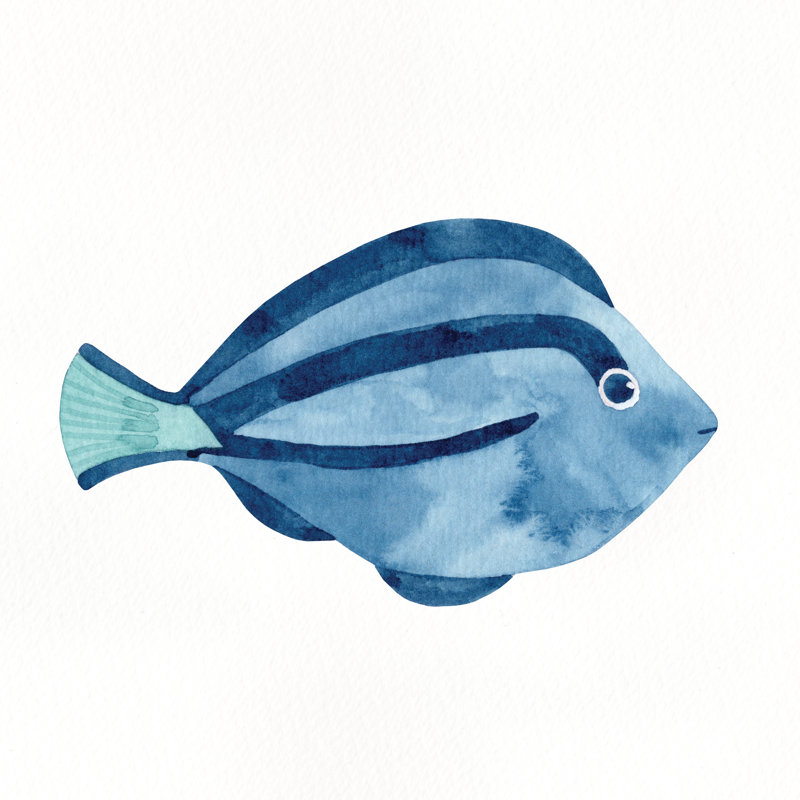 Surgeon Fish - Wrapped Canvas Square Art Prints, 122cm H x 122cm W 