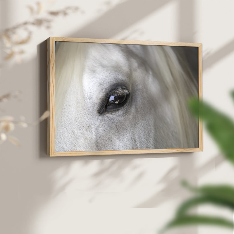 Balearic Island Horse -Framed Print - Restickable, Naturel, H 11 po x l 14 po