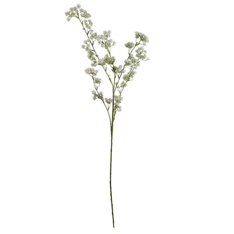 Aneris Arrangement