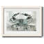 Crabe neutre II-1774382672