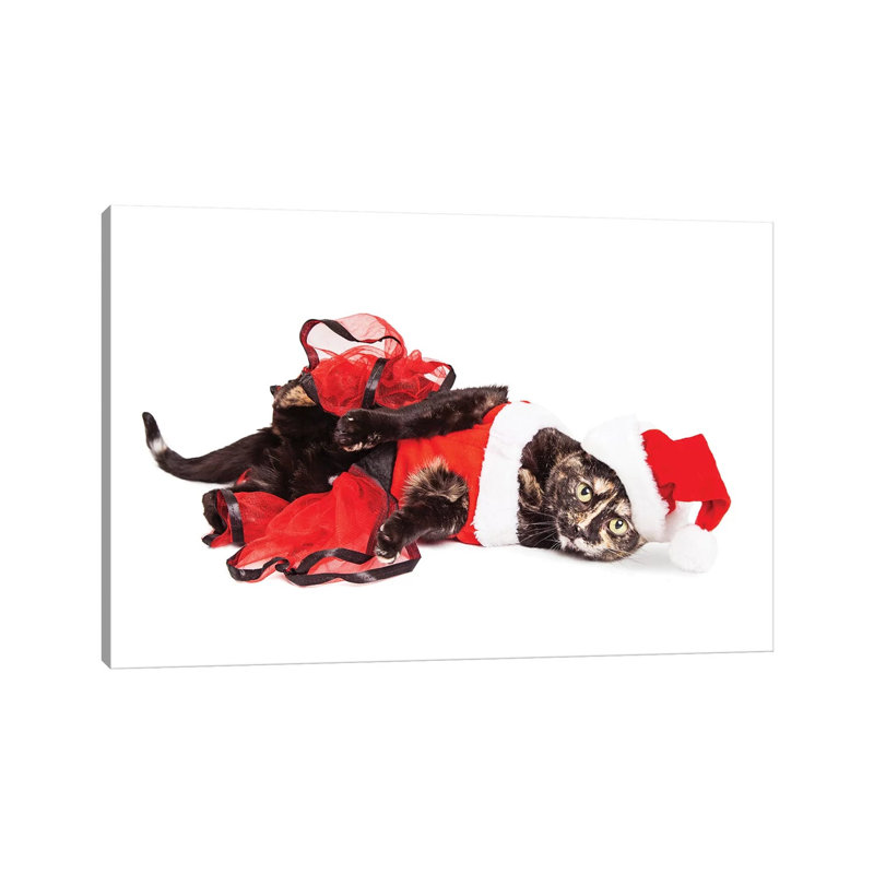 Funny Christmas Santa Cat Laying by Susan Schmitz - Wrapped Canvas Gallery-Wrapped Canvas Giclée