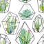 Rouleau de papier peint peler et coller Cactus and Succulents-825200322