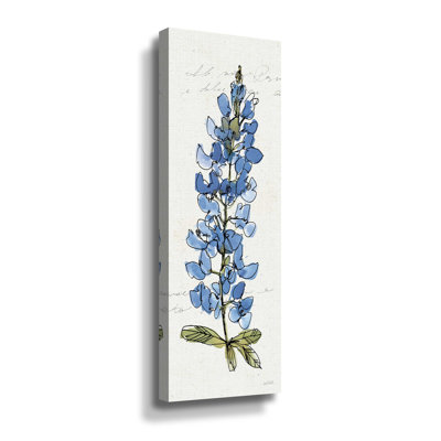 Texas Bluebonnet III-impression
