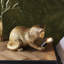 Switzer Resin Novelty Lamp-1944687222