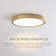 Flush Mount-613540398