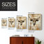 ANIMALS Series DI - Impression encadrée de qualité supérieure - Prêt à accrocher - Aucun clou requis-41363993-41363994