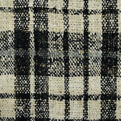 Oshagan Plaid Indoor Rug